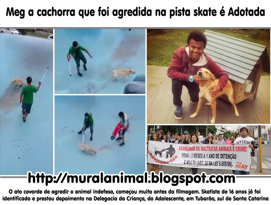 [cao-agredido-muleta%255B3%255D.jpg]