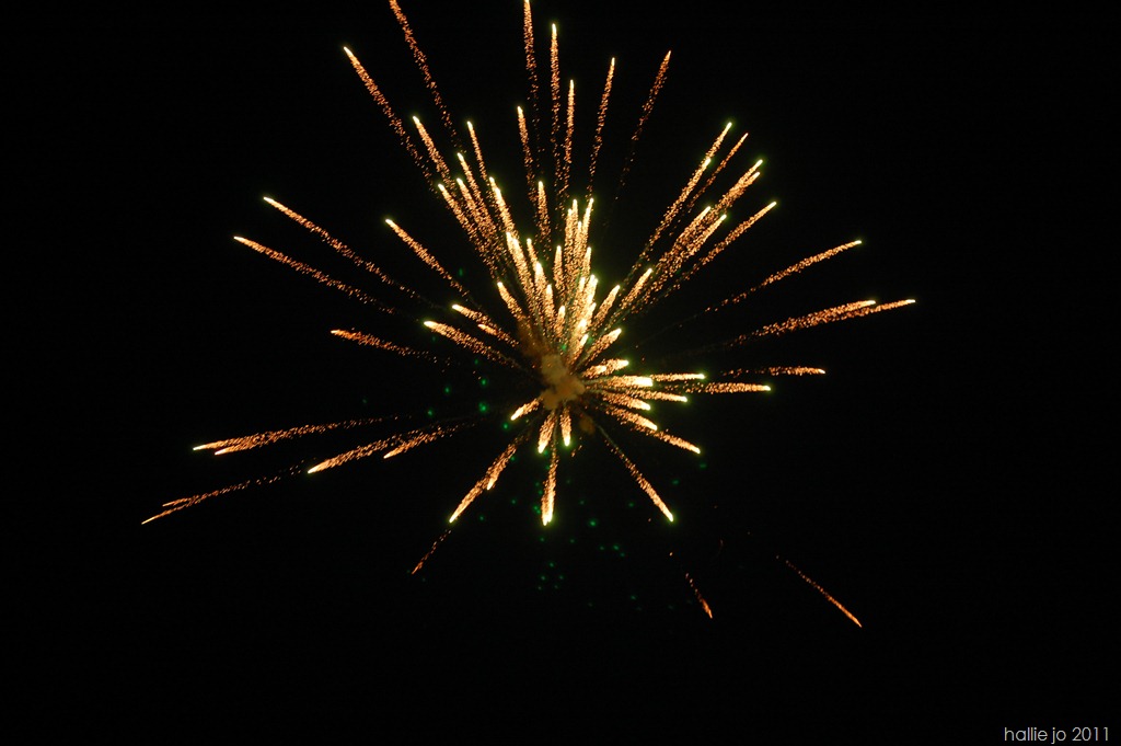 [Fireworks-07114.jpg]