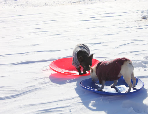 Sharkey, I've discovered that if you keep your head low, you go faster and have much better balance.  Keep your knees slightly bent, too.  It makes for a smoother run.