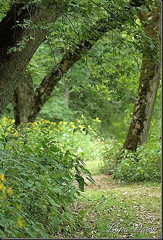 [CC_Meadow_Trail4_thumb%255B4%255D%255B5%255D.jpg]