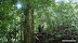 DSC04287.JPG