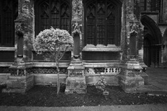 IMG_1482