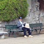 20100405_031.JPG