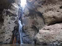 IMG_0730.JPG