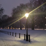 DSC00403.JPG