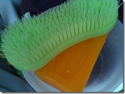 IMG_0975 IMG_0975