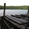 dsc04087.jpg