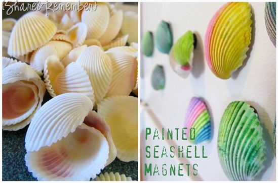Painted Seashell Magnets