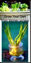 grow-ur-veggies copy