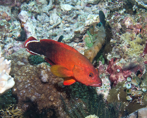 P7095542