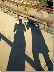 shadows