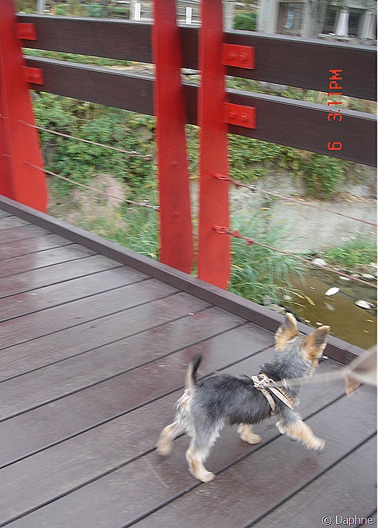 [DSC08811%255B8%255D.jpg]