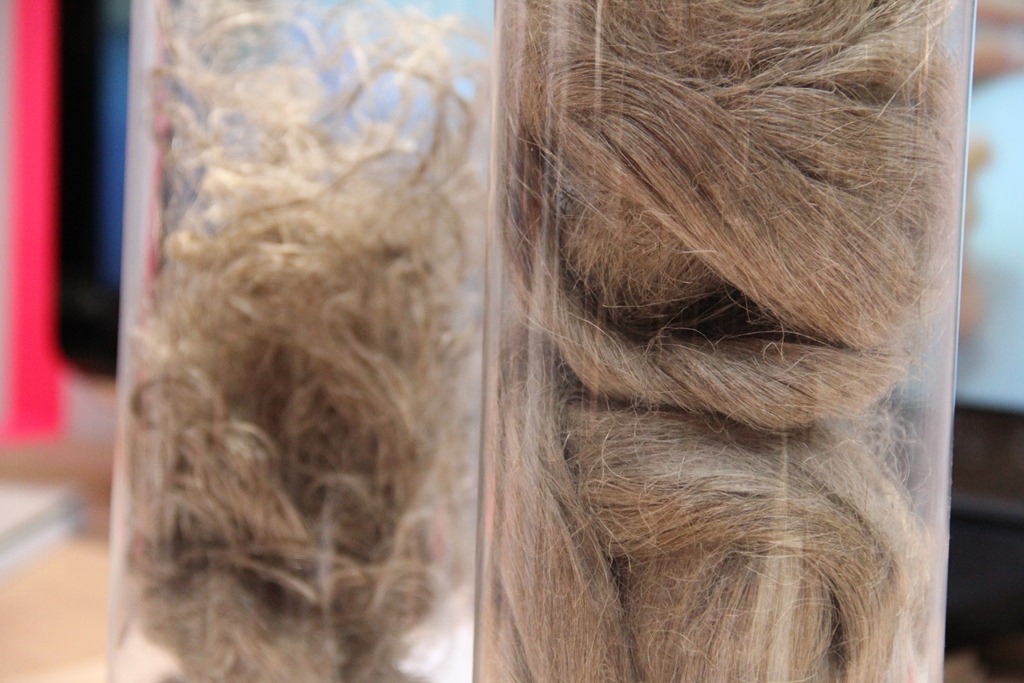 fibra_di_lino_@CELC_radical_linen