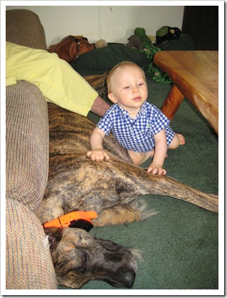 IMG_1077 IMG_1077