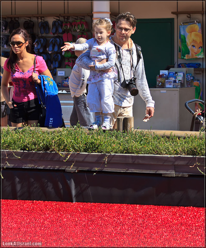 Америка 2.0 / Орландо, Epcot   Люди (foto v mire america  фото такие разные люди люди интересно  20111020 usa epcot people 003 9207)