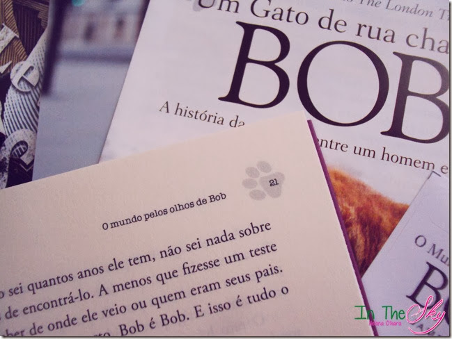 O Mundo pelos olhos de bob_01 O Mundo pelos olhos de bob_01