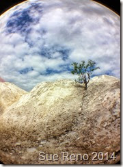 Sue Reno, The White Cliffs of Conoy, Image 1