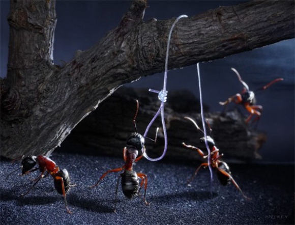 Life-of-Ants-Andrey-Pavlov-04