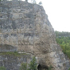 141.jpg
