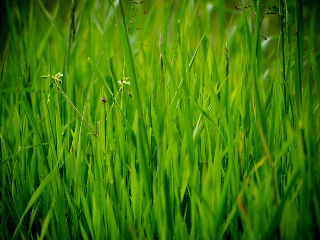 [2%2520July%25206%252002-07-2013%252013-40-20%255B3%255D.jpg]