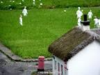 Southport Model Railway Cricket