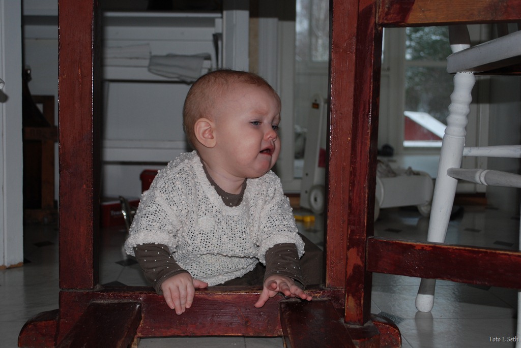 [DSC_0512%255B6%255D.jpg]