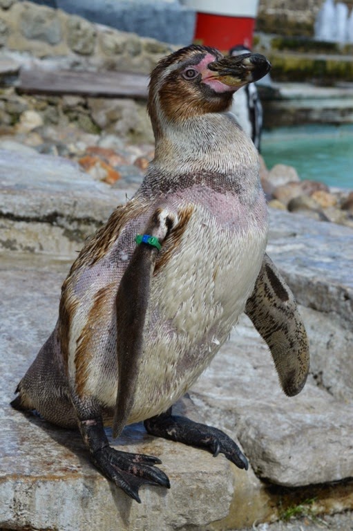 [DSC_0391%2520-%2520Copy%255B6%255D.jpg]