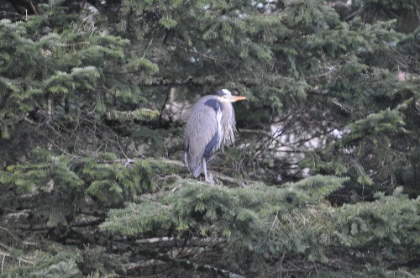 DSC_0120.jpg DSC 0120