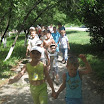 x_41a1515b.jpg