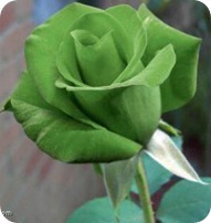 Capture