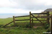 IMG_5986.JPG Photo