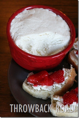 farmers cheese 046 farmers cheese 046