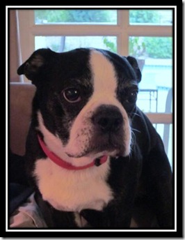 Winston News 3