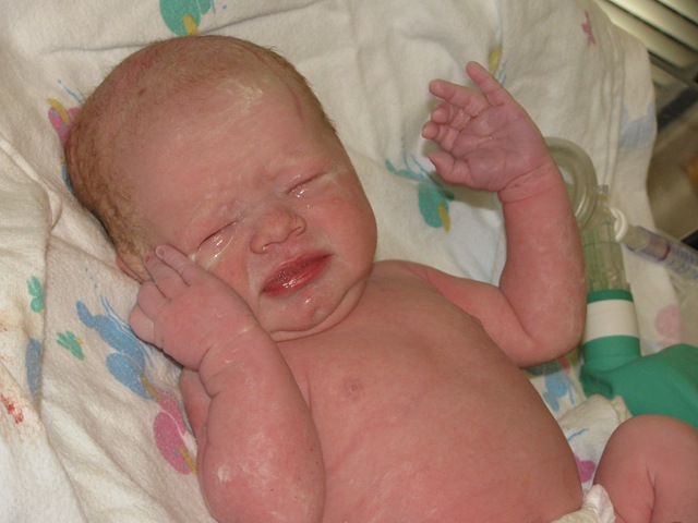 [IMG_3016%255B2%255D.jpg]