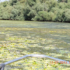 DSCN3022.JPG