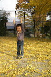 DSC01775.JPG