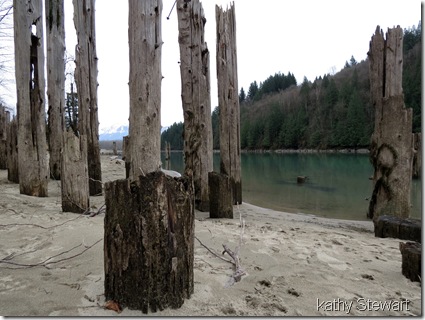 Pilings by the river