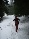 PA220048.JPG