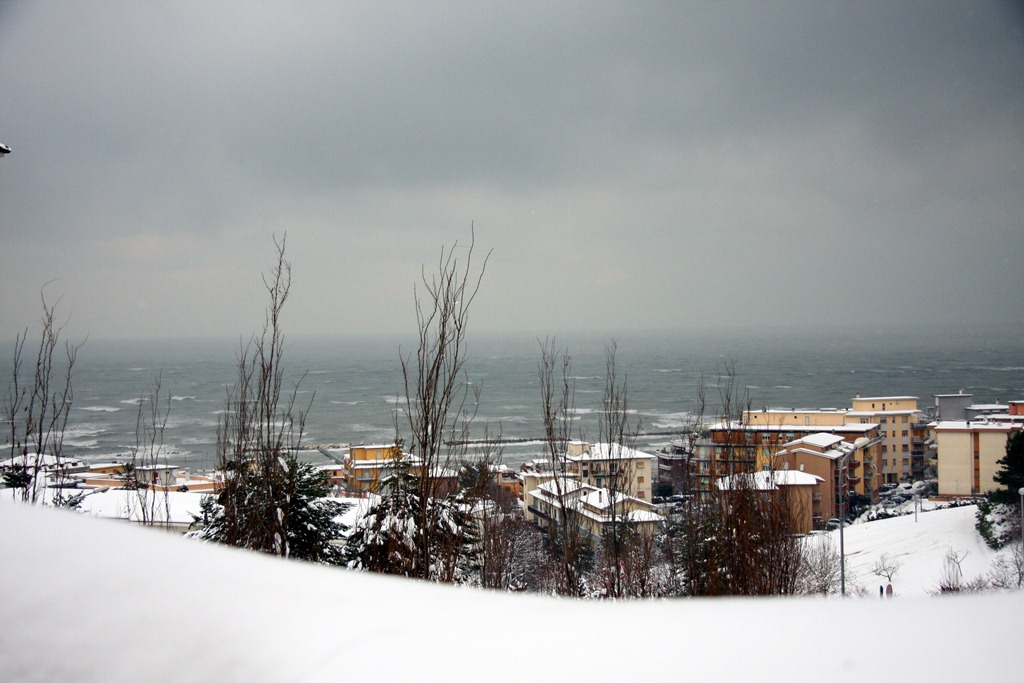 [IMG_6254%255B8%255D.jpg]