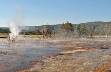 DSC_0530e.jpg
