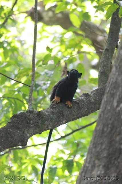 [IMG_0828%255B4%255D.jpg]