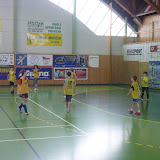 Halov&aacute; kopan&aacute; 2012