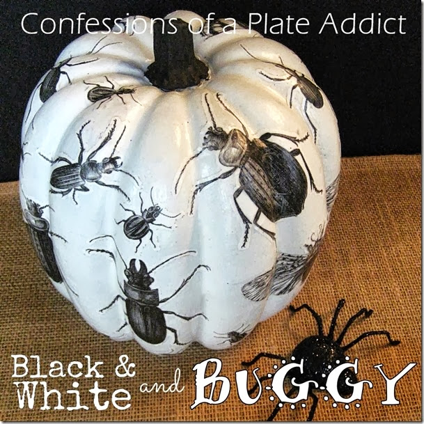 CONFESSIONS OF A PLATE ADDICT Découpage Insect Pumpkin w/ Free Insect Graphics