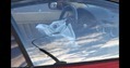 Accident-CSP-R7 Accident-CSP-R7
