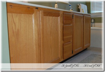 master bath vanity before 2