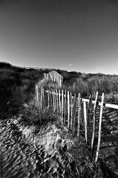 Sand-Dune-Fencing-2---Mono