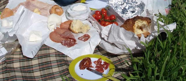 [picnic%255B2%255D.jpg]