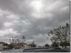 IMG_1615 IMG_1615