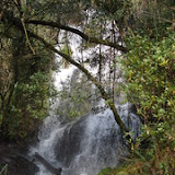 Fervenzas