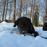 IMG_5800.JPG